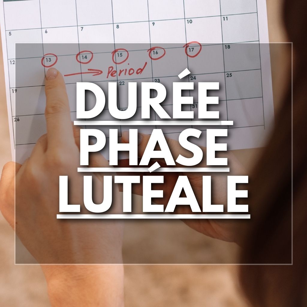 Durée phase lutéale : Tout Savoir sur la Phase Lutéale - Flowless